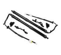 6892009010 6891009010 Piezas Automóvil Soporte Elevación Portón Trasero Amortiguador Gas Eléctrico Portón Trasero Para Toyota Para RAV4 2013-2018 Resorte Gas Eléctrico(Left and Right)