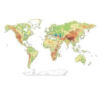 68travel Colorido mapa del mundo de madera - nombres físicos impresos (200 cm), ríos, características geográficas, diseño único, para el hogar y la oficina