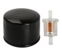 691035 493629 Filtro de combustible con 492932s 7045184 492056 Filtro de aceite compatible con motores