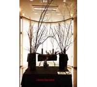 小6納豆売りAIと新世界へ June 2026 Vol.13 Latina/Japonica: 現代陶芸銀