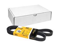 Correa poly V CONTINENTAL 6DPK1195