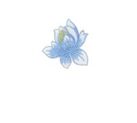 6pc 8.5CM/Lotus Flower Applique Patches Thermocollant,Fabric Flowers Embroidery Iron On Stickers For Clothing,Dress,Cheongsam(Color1)