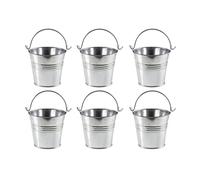 6Pcs Mini Cubos, Maceta de Metal, Lata de Cubo de Metal, Maceta de Regalo