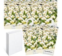 6PCS Saquitos Armario ambientador Lavanda, Perfumador Ropa, Ambientador Armario Ropa Limpia, Bolsa Guardarropa, Hogar Saquitos Armario Ropa, Bolsita Refrescador para Coche, Zapatero (Cymbidium)