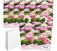 6PCS Saquitos Armario ambientador Lavanda, Perfumador Ropa, Ambientador Armario Ropa Limpia, Bolsa Guardarropa, Hogar Saquitos Armario Ropa, Bolsita Refrescador para Coche, Zapatero (Peonía)