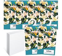 6PCS Saquitos Armario ambientador Lavanda, Perfumador Ropa, Ambientador Armario Ropa Limpia, Bolsa Guardarropa, Hogar Saquitos Armario Ropa, Bolsita Refrescador para Coche, Zapate (Lirio)