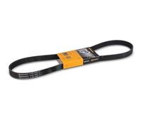 6PK1080 CONTI-V Multirib Correa aca
