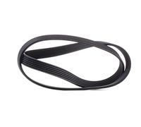 ContiTech Correa Poly-V 6PK1205 para Citroën y Renault (C5, Berlingo, Twingo, Mégane)