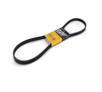 ContiTech Correa poli-V 6PK1217 trapezoidal nervada para Citroën y Renault