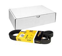 ContiTech Correa trapezoidal nervada 6PK1600 poli V Multirib