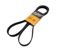 6pk1733 Contitech Correa de transmisión OE Calidad
