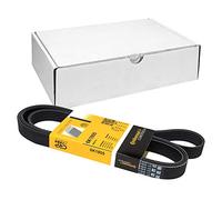 6PK1805 CONTI-V Multirib Correa aca