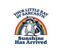 6x9 Lined Notebook - Ray of Sunshine: 6x9 Lined Notebook 150 pages, Funny, Sarcastic, Adult Humor, Gag Gift, Office Gift, Stocking Stuffer, Coworker, Friends and Family, Journal