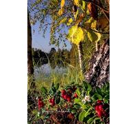 6x9" Suomi Finland Lake Berries Notebook. Lined white paper. 120 pages. Glued Spine.: For Journaling, Note Taking, School, Office, University, Home.