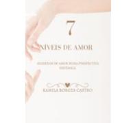 7 Niveis Do Amor (ebook)