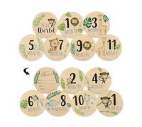 7 tarjetas mensuales de hito para bebé, tarjetas de hito de madera de doble cara de 10 cm, tarjetas redondas de hito de la edad del bebé, hito mensual de madera con patrones de animales, para nuevos
