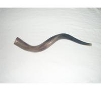 70-79 cm (28"-31") Kudu Yemenite CUERNO SHOFAR KosherALL Pulido Nuevo