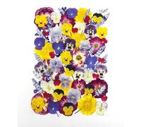 70 flores prensadas secas comestibles para decoración de pasteles, mezcla de rosas naturales, viola y caléndula y lavanda, seguras para alimentos para joyas de resina, fabricación de velas, popurrí