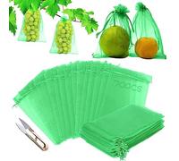 70 Piezas Bolsa para Proteger Uvas,Bolsas Proteccion Uvas 20 x 30 cm,Bolsas para Proteger Las Uvas,Bolsas para racimos de Uvas,Bolsas Uvas Proteccion,Bolsas Proteger Uvas,Bolsas para Uvas en Parra