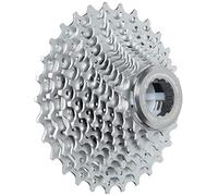 70311var - Piñones Desarrollo 12-27