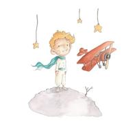 ¡75% DTO! Vinilo Little Prince