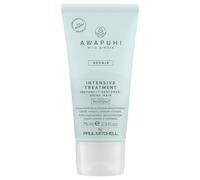 75ml Paul Mitchell Awapuhi Wild Ginger Intensive Treatment