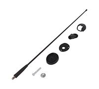7657021 antena techo - 041m AMFM se adapta