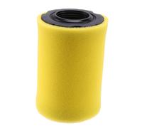 796031 Filtro de aire para Stratton con prefiltro