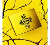 7TH YEAR: A Moment of Stillness in the Thorns (HUNGER ver.)