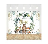 7x5ft Woodland Wild One Backdrop Spring Theme 1st Birthday Decorations for Baby Boy Eucalyptus Leaves Photography Background Jungle Animals Birthday P