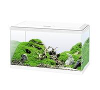 8.5 KG Ciano Aqua Led 60 Blanco acuario con luz led, filtro y calentador