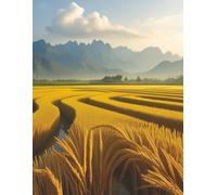 8.5" X 11" NoteBooks "The Serene Rice Fields"