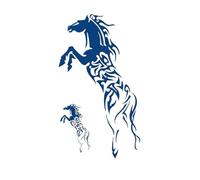 8 hojas de tatuajes temporales impermeables de larga duración con brújula, flecha y dragón, tatuajes falsos for hombres y mujeres.(16)