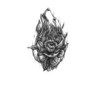 8 hojas de tatuajes temporales impermeables, pegatinas de escorpión, lobo, tatuajes de línea, arte corporal, brazo, tigre, tótem, tatuaje falso for hombres(QTBS8273)