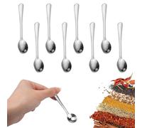 8 Piezas Mini Cucharas de Acero Inoxidable Plateadas, 9cm para Frascos de Especias, Café, Postre, Sal, Azúcar, Miel y Especias (Plata)