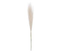 8 Piezas Pampas Secas Decoracion, Hierba De Pampa Artificial, Decoración De Pampas Grass Secas,Esponjosas Ramas Secas Decorativas para Decoracion Boho, Home Decor, Bodas Fiesta Rústica, Room Decor