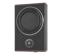 8 pulgadas Bass Box Activo, Subwoofer Activo Subwoofer Auto Set, Car Hifi Untersitz Bassbox con Blindaje de Altavoz y en la parte inferior para la mayoría de tipos de vehículos, Negro