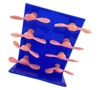 8 tipos de modelo de anatomía del útero enfermo Modelo de útero de PVC para estudiantes de medicina y médicos para estudiar condiciones ginecológicas Herramienta de enseñanza de ginecología