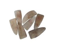 8 unids/set cuerno de Yak Natural Guzheng Nail Guzheng práctica cubierta de uñas Set Guzheng Accesorios for Instrumentos Musicales (Color : Small)