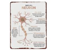 8 X 12 in Aluminum Neuron Anatomy Sign Educational Brain Cell Structure Chart for Classroom Science Study Room Decor