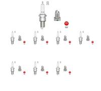 8 x Bujía NGK para ALFA ROMEO, FIAT, MASERATI, RENAULT, TALBOT