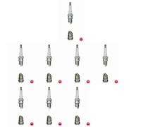 8 x Bujía NGK para BEDFORD, PANTHER BLITZ, LIMA
