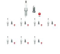 8 x Bujía NGK para BMW, CITROËN, DS, PEUGEOT 2 F22 F87, 2008