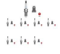 8 x Bujía NGK para DAIHATSU, FIAT, LANCIA, LOTUS ALBEA (178_