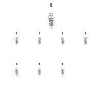 8 x Bujía TOPRAN para AUDI, SEAT, SKODA, VW 100 C4, 80 B4, A2, A3