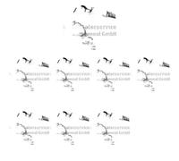 8 x palanca de válvula KOLBENSCHMIDT para BMW 1 E81, 1 E82, 1 E87, 1 E88, 3