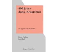 800 Jours Dans Louarsenis (ebook)