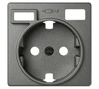 82 Tapa para mecanismo Concept (Gris, Plástico, IP21, Colocar)