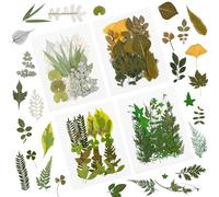84 Piezas de Hojas Secas Prensadas para Plantas, Hojas de Herbario, Pétalos Mezclados, Hojas Secas Naturales Reales para Resina, Arte, Manualidades, Pegatinas de Uñas Adornos Decoraciones (C)