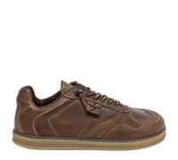 Cetti - 848 43